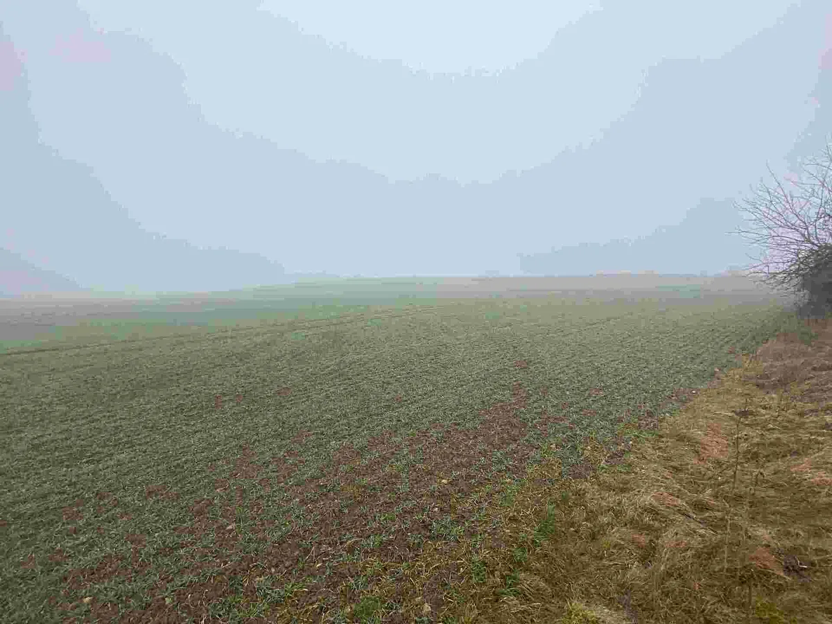 Fotka 10 z 13